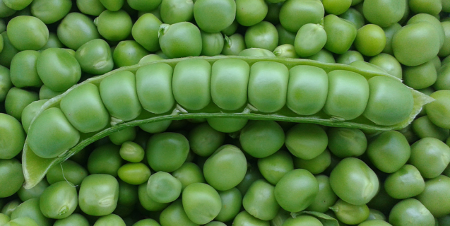 7 healthy food for heart improvement